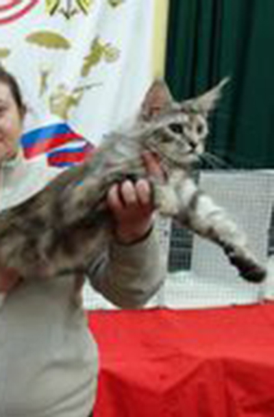 Jasmine Waldhuter - мейн-кун 02.11.2013